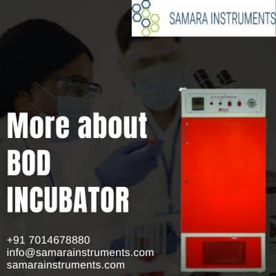 Bod incubator Vs Incubator